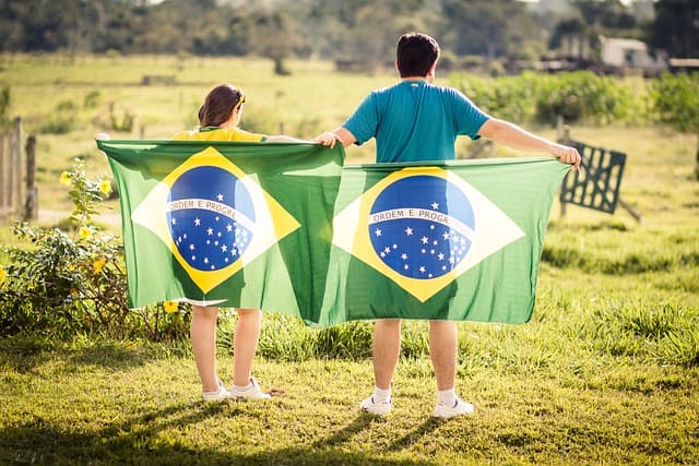 brazil, patriot, brazil flag, flag